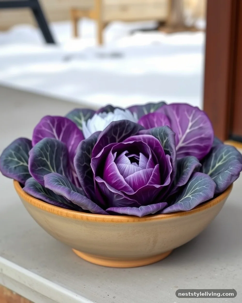 Potted Ornamental Cabbage - 17 Winter Porch Ideas for a Cozy Seasonal Welcome