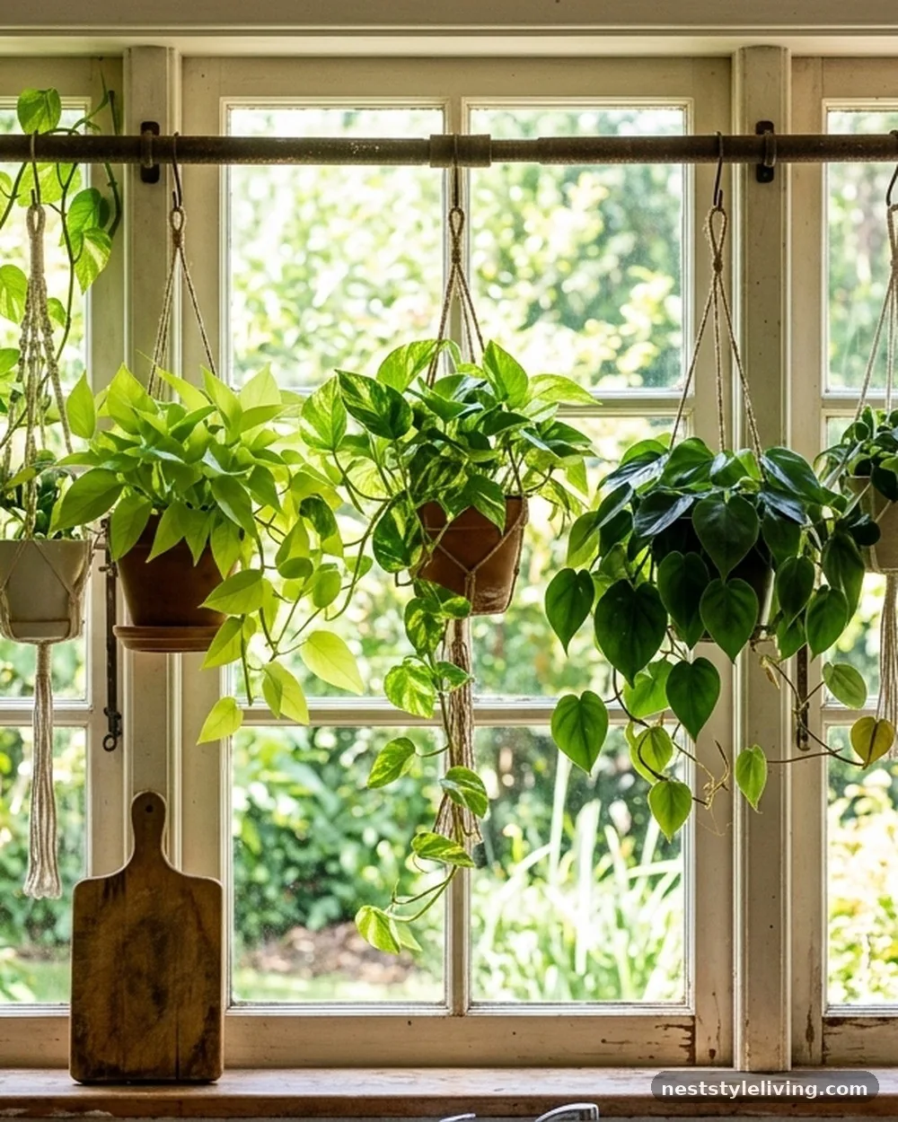 Botanical Window Displays - 16 Boho Kitchen Ideas That Feel Collected and Beautiful