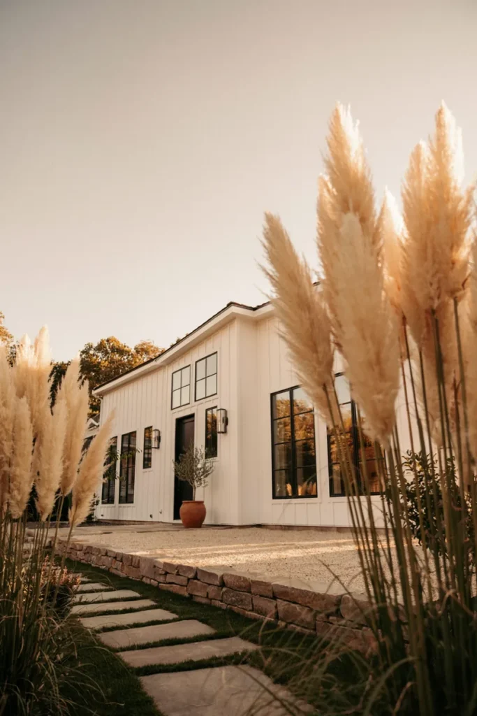 Pampas Grass Feature