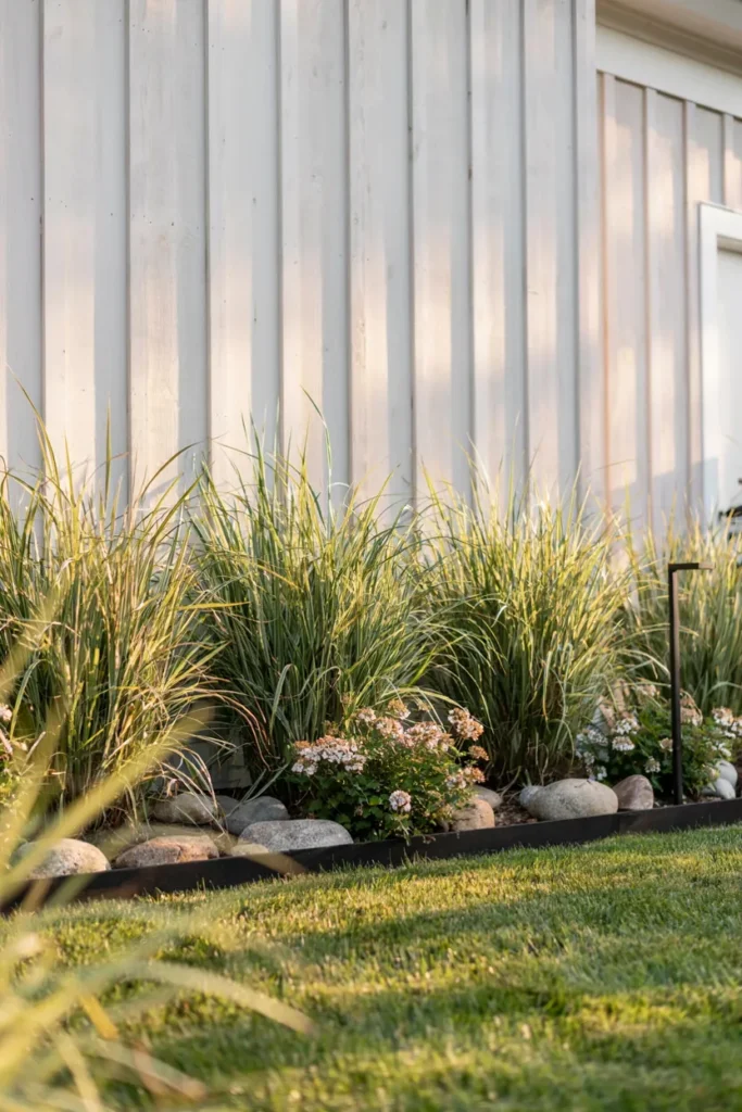 Zebra Grass Accent