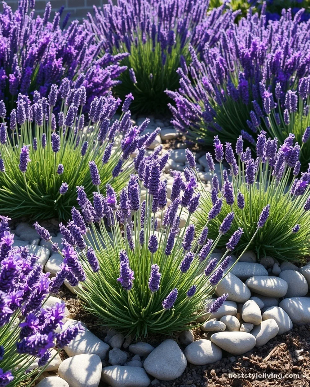 Stone-Mulched Garden Beds - 20 Rock Landscaping Ideas for a Bold Natural Backyard