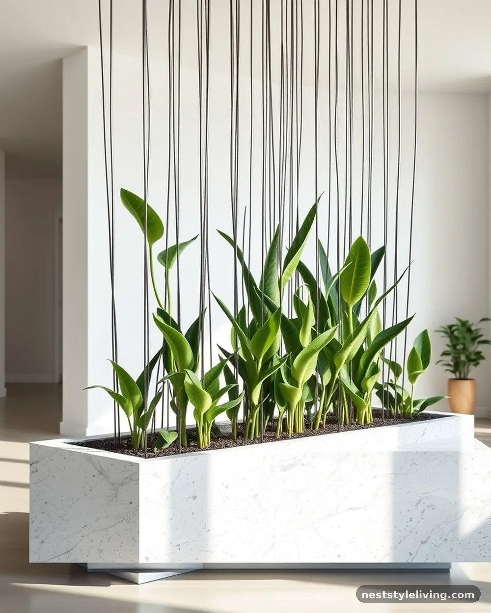 Terrazzo-Base Planter Screen - 22 Entryway Divider Ideas for a Stylish Modern Home